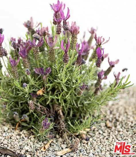 4924 San Rafael Ave, Los Angeles CA  90042-3133 exterior