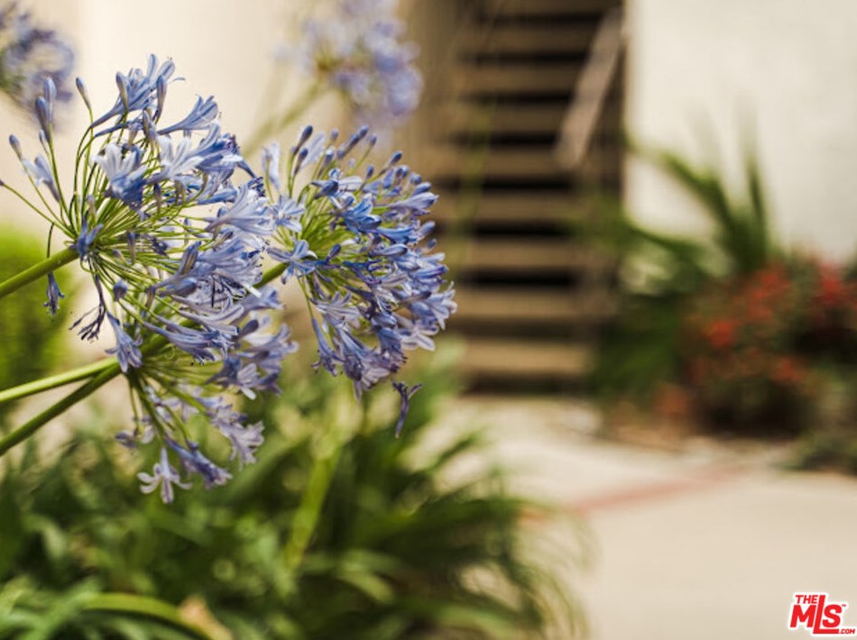 15511 Sherman Way, Van Nuys CA  91406-4143 exterior