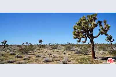 0 Yucca Mesa Rd, Yucca Valley, CA 92284 - Photo 1