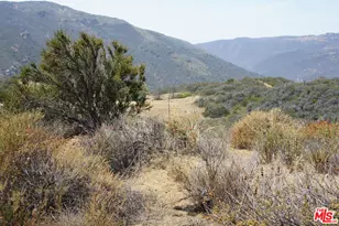 34215 Mulholland, Malibu, CA 90265 - Photo 10
