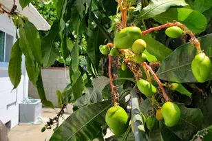 8130 Grimsby Ave, Los Angeles, CA 90045 - Photo 34