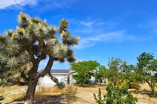 47347 92nd St, Lancaster, CA 93536 - Photo 16