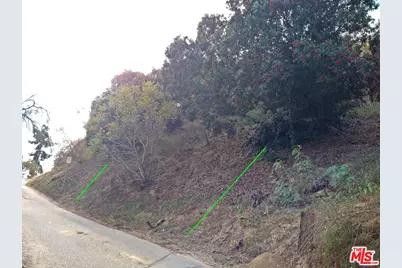 2861 Forest Park Dr, Los Angeles, CA 90032 - Photo 6