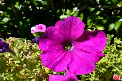 3661 El Encanto Dr, Calabasas, CA 91302 - Photo 62