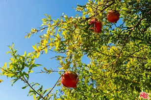 15216 Antelo Pl, Los Angeles, CA 90077 - Photo 50