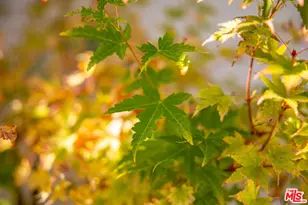 4640 Mary Ellen Ave, Sherman Oaks, CA 91423 - Photo 32