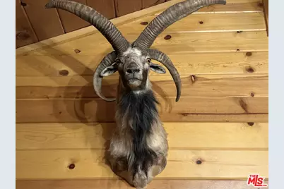 747 Pine Ln, Sugarloaf, CA 92386 - Photo 12