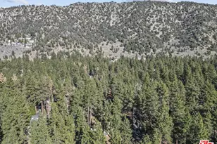 1197 Oriole Rd, Wrightwood, CA 92397 - Photo 42