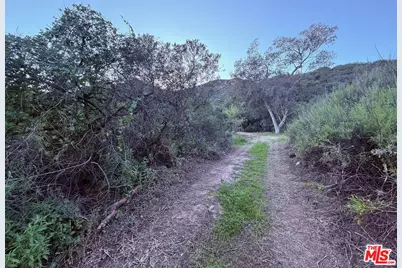 23629 Zuniga Rd, Topanga, CA 90290 - Photo 16