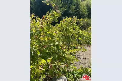 28908 Wight Rd, Malibu, CA 90265 - Photo 8