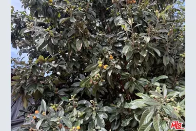 3284 Cherokee Ave, South Gate, CA 90280 - Photo 54