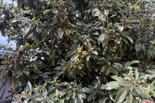 3284 Cherokee Ave, South Gate, CA 90280 - Photo 54