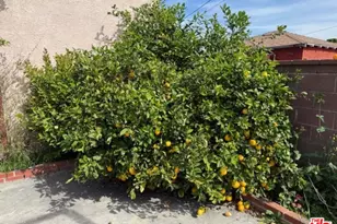 3284 Cherokee Ave, South Gate, CA 90280 - Photo 56