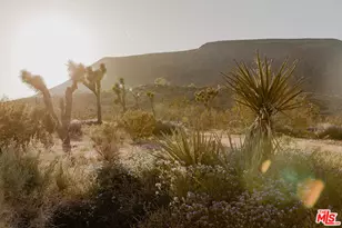 55626 Pipes Canyon Rd, Yucca Valley, CA 92284 - Photo 32