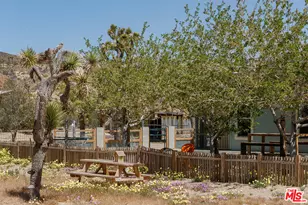 55626 Pipes Canyon Rd, Yucca Valley, CA 92284 - Photo 18