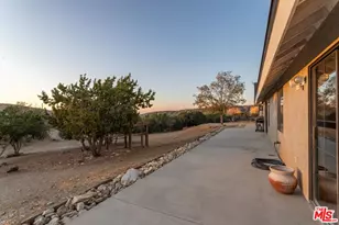 29243 Piani Rd, Pearblossom, CA 93553 - Photo 32