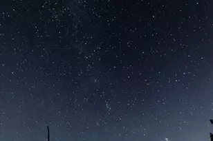 29243 Piani Rd, Pearblossom, CA 93553 - Photo 56