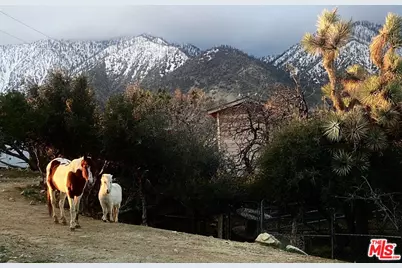 29243 Piani Rd, Pearblossom, CA 93553 - Photo 58