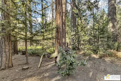 54865 Strong Dr, Idyllwild, CA 92549 - Photo 26