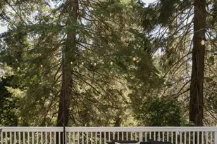 920 Oak Rd, Skyforest, CA 92385 - Photo 14