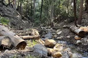 25470 Scenic Dr, Idyllwild, CA 92549 - Photo 28