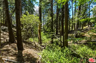 55000 Daryll Rd, Idyllwild, CA 92549 - Photo 58