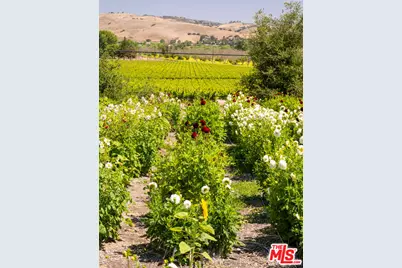 8630 Santa Rosa Rd, Buellton, CA 93427 - Photo 64