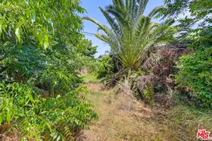 1247 W 49th St, Los Angeles, CA 90037 - Photo 46