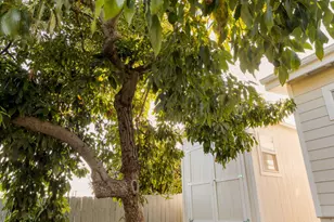 3033 Asbury St, Los Angeles, CA 90065 - Photo 42