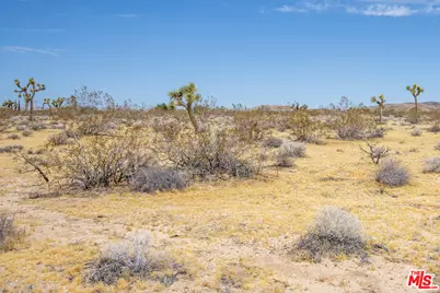 60676 Campanula St, Joshua Tree, CA 92252 - Photo 6