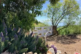 3800 Latigo Canyon Rd, Malibu, CA 90265 - Photo 60