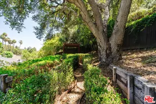 1355 Shadybrook Dr, Los Angeles, CA 90210 - Photo 34