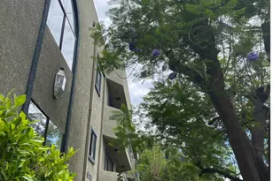 6590 Hazeltine Ave, Los Angeles, CA 91401 - Photo 2