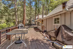 25280 Azalea Dr, Idyllwild, CA 92549 - Photo 44