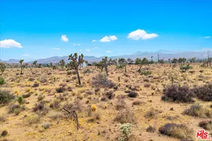 52351 Geronimo Ave, Pioneertown, CA 92268 - Photo 42