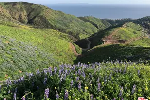 3900 Latigo Canyon Rd, Malibu, CA 90265 - Photo 1