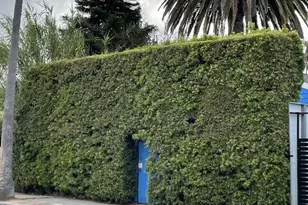 926 California Ave, Venice, CA 90291 - Photo 1