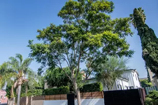 638 N Sierra Bonita Ave, Los Angeles, CA 90036 - Photo 1