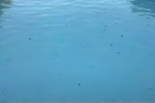 2411 W Acacia Ave, Hemet, CA 92545 - Photo 1