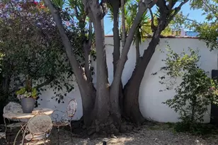 1053 S Alfred St, Los Angeles, CA 90035 - Photo 1