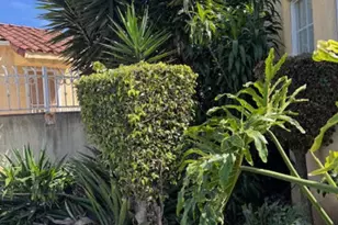 8900 S Harvard Blvd, Los Angeles, CA 90047 - Photo 1