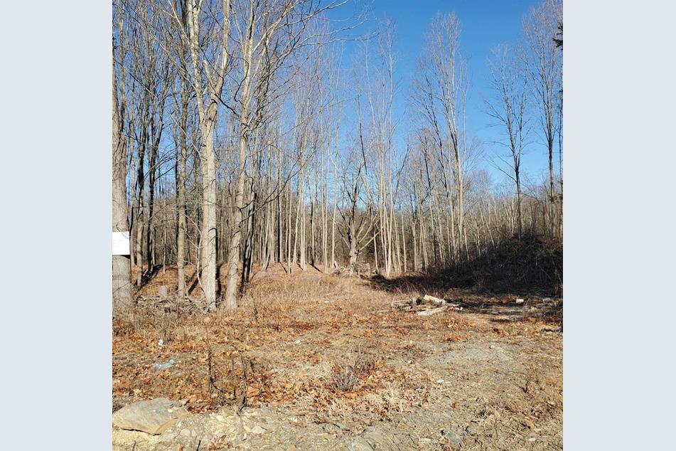 Crum Elbow Rd, Hyde Park, NY 12538 MLS 413753 Coldwell Banker