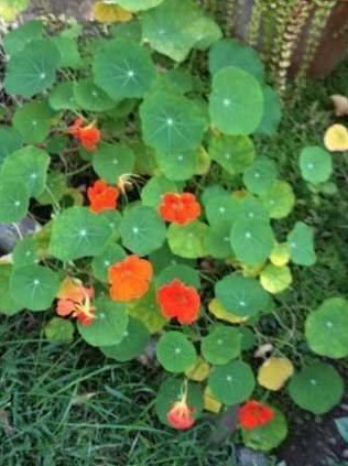 273 Route 9d, Beacon NY  12508-7027 exterior