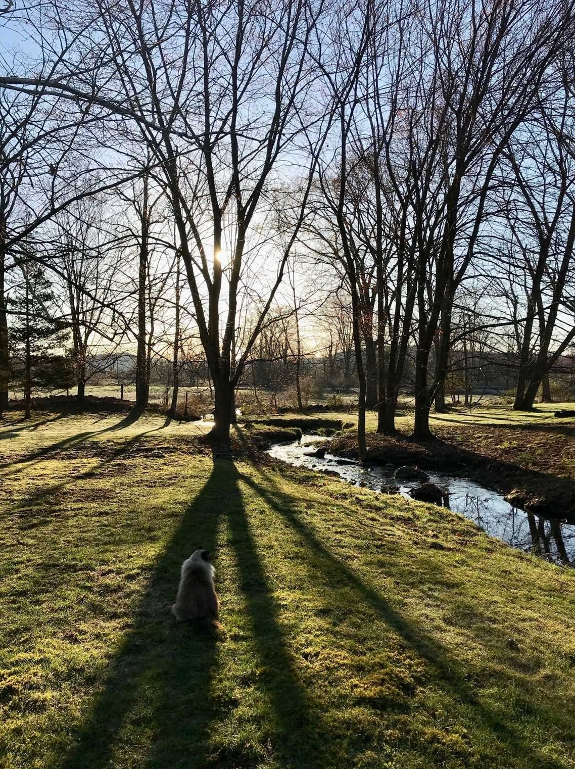 345 Lauer Rd, Poughkeepsie NY 12603-3950 exterior