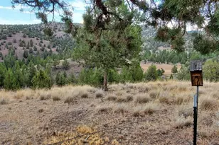 18990 SE Doubtful Dirt Rd, Prineville, OR 97754 - Photo 38