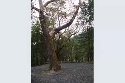 36510 Ditch Creek Road, Rogue River, OR 97537 - Photo 14