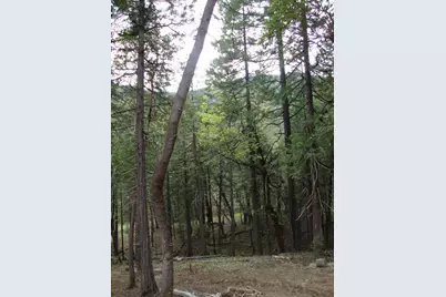 36510 Ditch Creek Road, Rogue River, OR 97537 - Photo 16