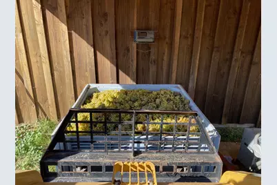 7820 SE Amity Road, Amity, OR 97101 - Photo 10