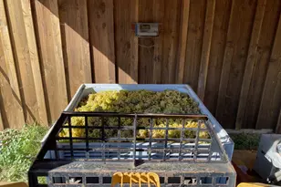 7820 SE Amity Rd, Amity, OR 97101 - Photo 10