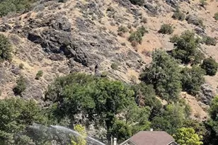 7813 Upper Applegate Rd, Jacksonville, OR 97530 - Photo 80